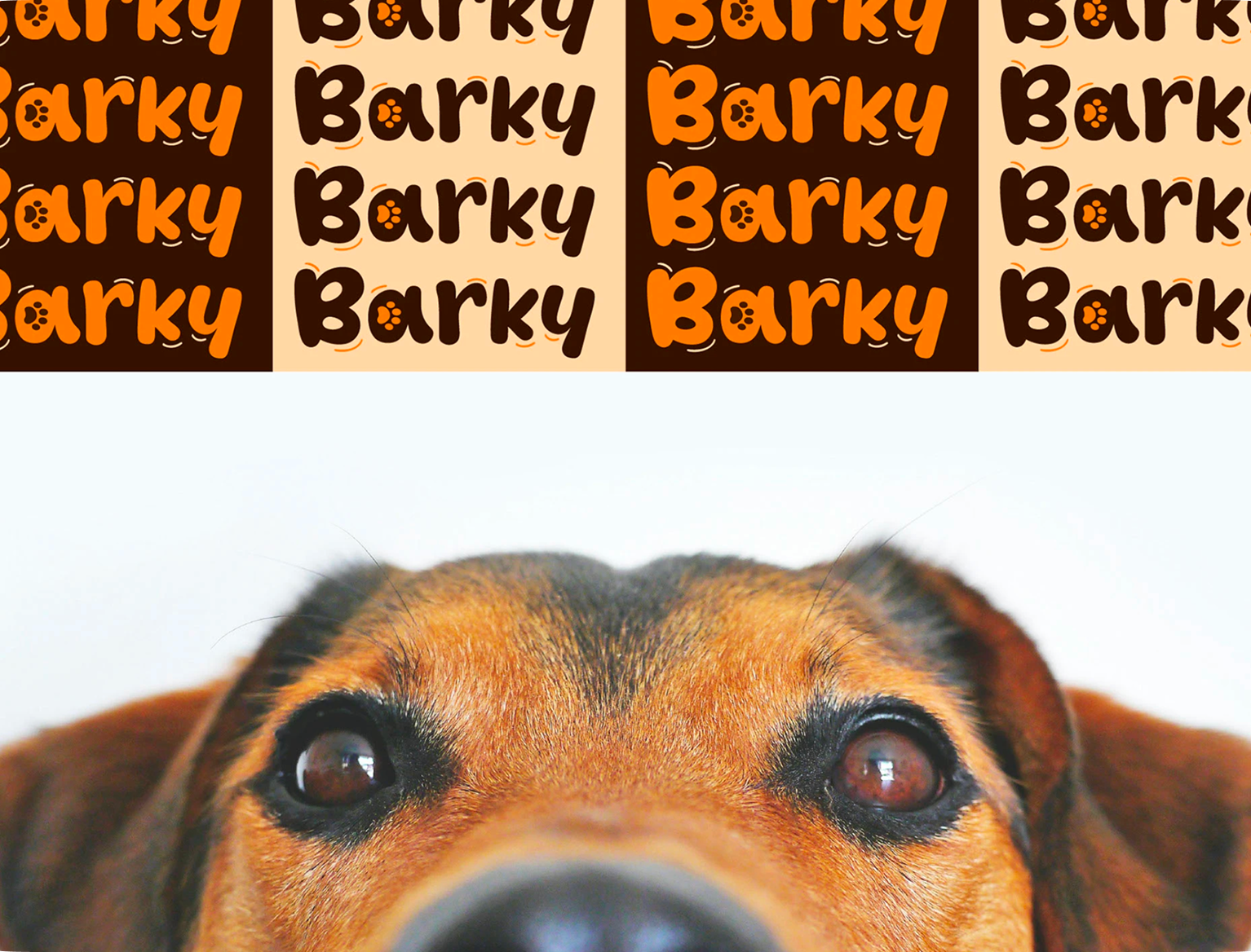 Barky